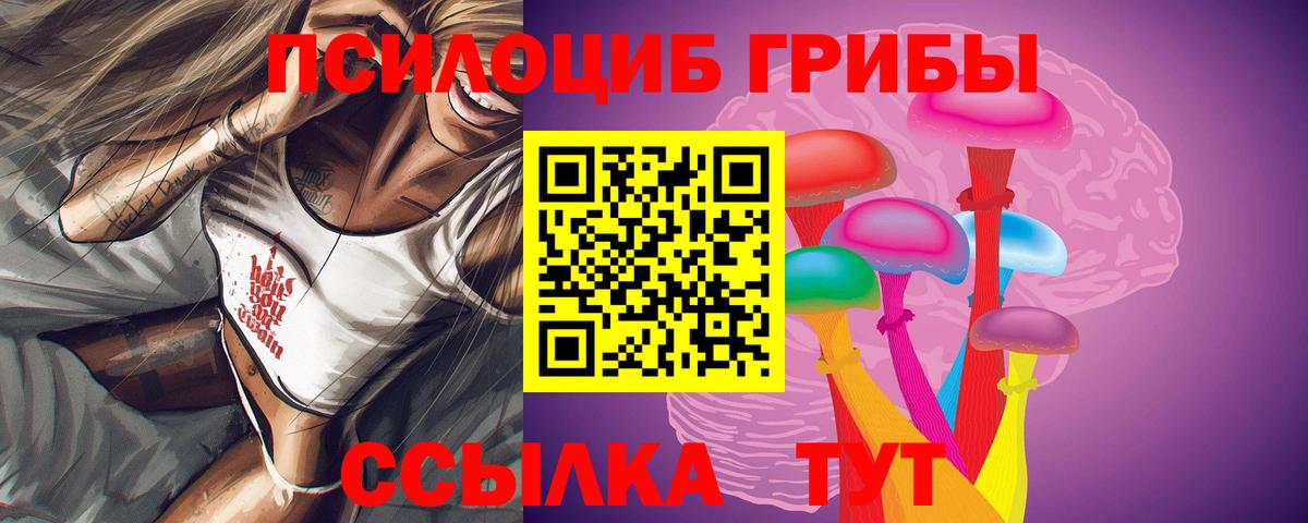 Псилоцибиновые грибы прущие грибы  Вход с VPN  Галлюциногенные грибы Psilocybe  Кольчугино 